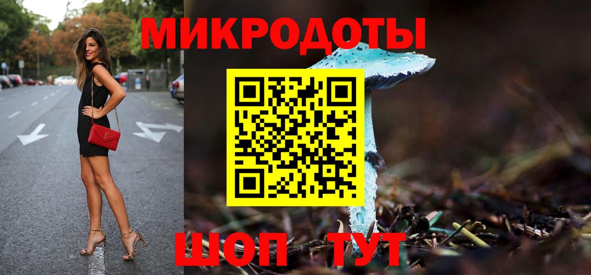 Галлюциногенные грибы Psilocybine cubensis Нововоронеж